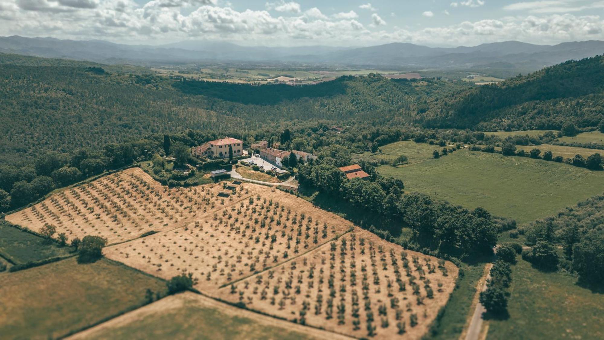 Villa Erbaia Relais De Charme 巴贝里诺·迪·穆杰罗 外观 照片